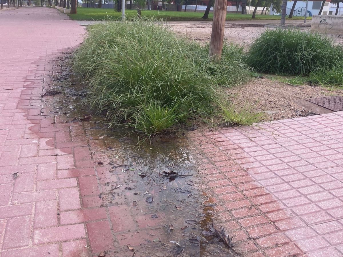 Som Castelló denuncia deterioro ambiental por fuga de agua en el parque Segón Molí