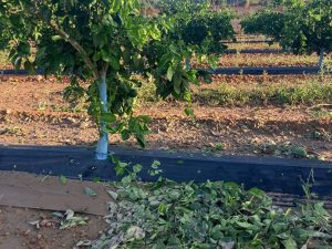 La tormenta de granizo golpea Valencia y Castellón