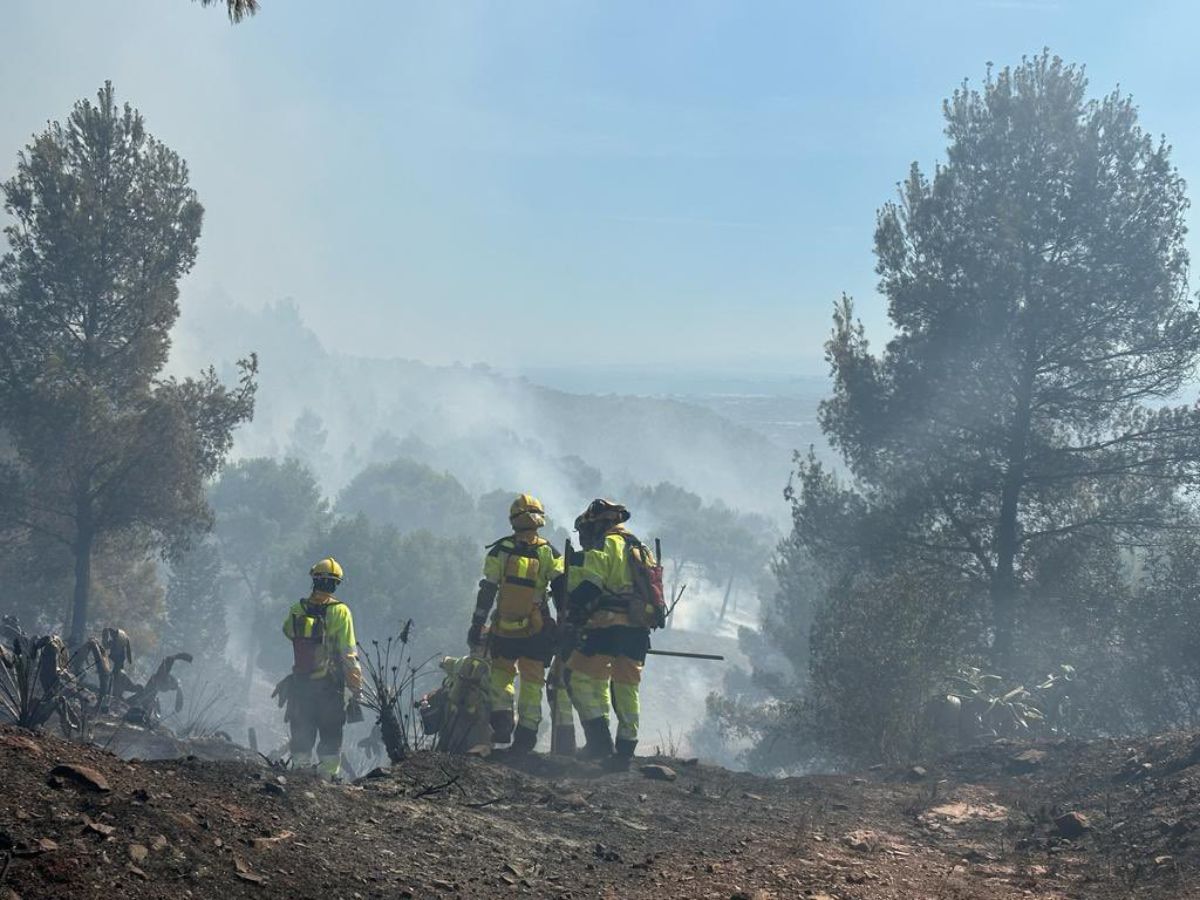 Incendio forestal en Sierra Calderona afecta a Puçol y Sagunt