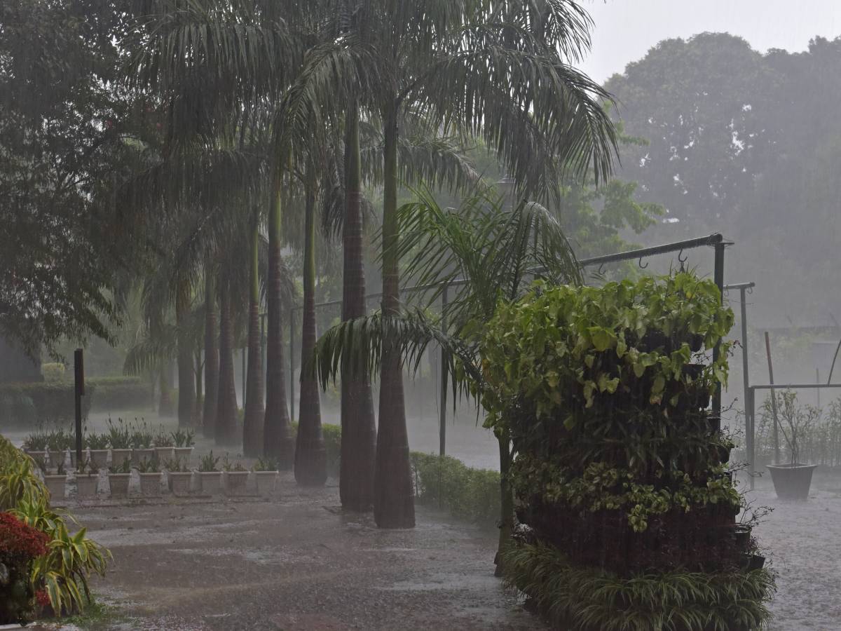 Domingo de chubascos, tormentas, viento y granizo en la Comunitat