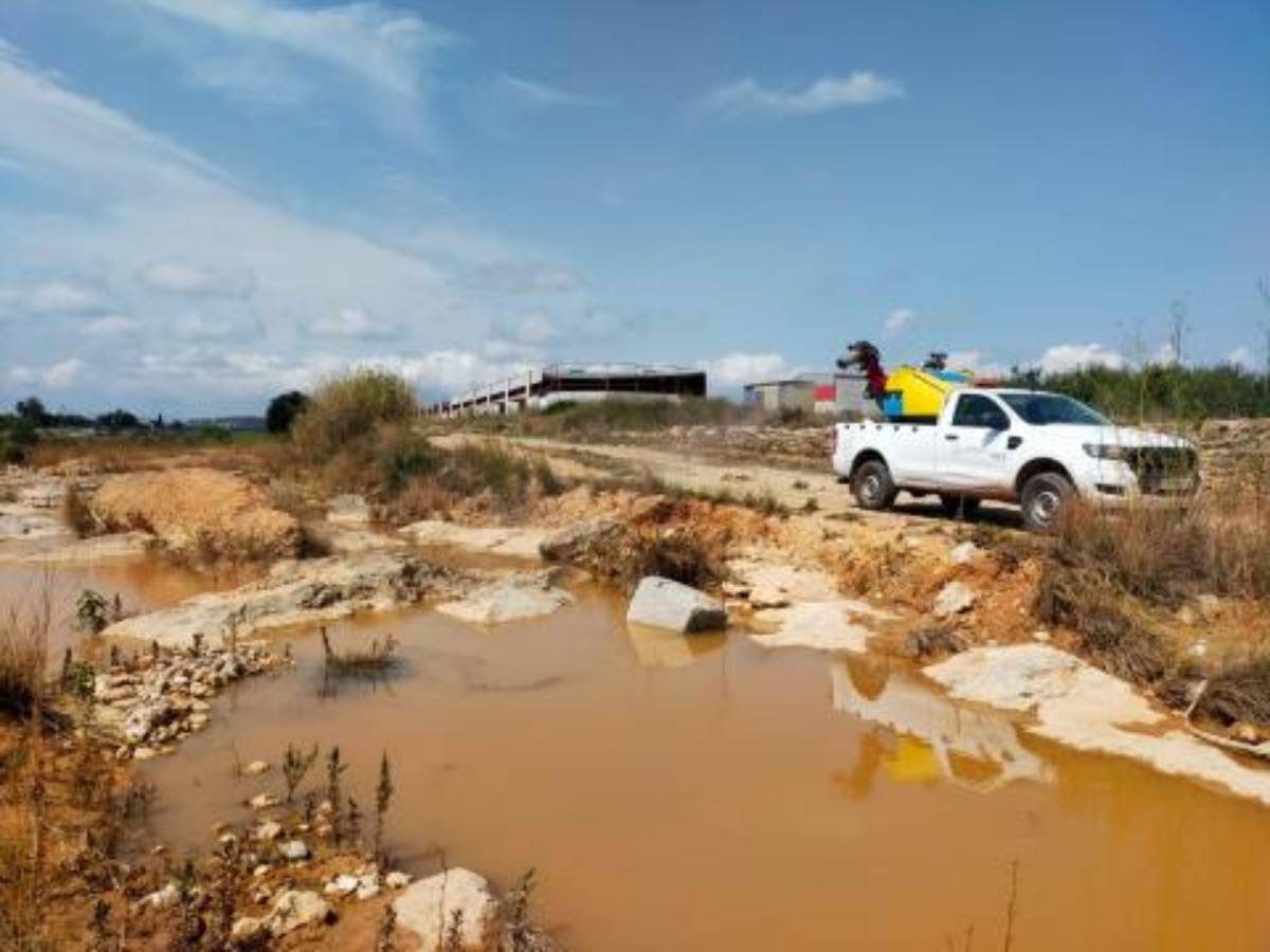 Refuerzo en el control de mosquitos en Vinaròs