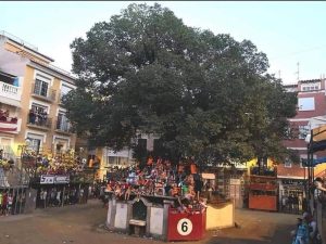 Piden la dimisión del alcalde de Navajas por suspender los toros