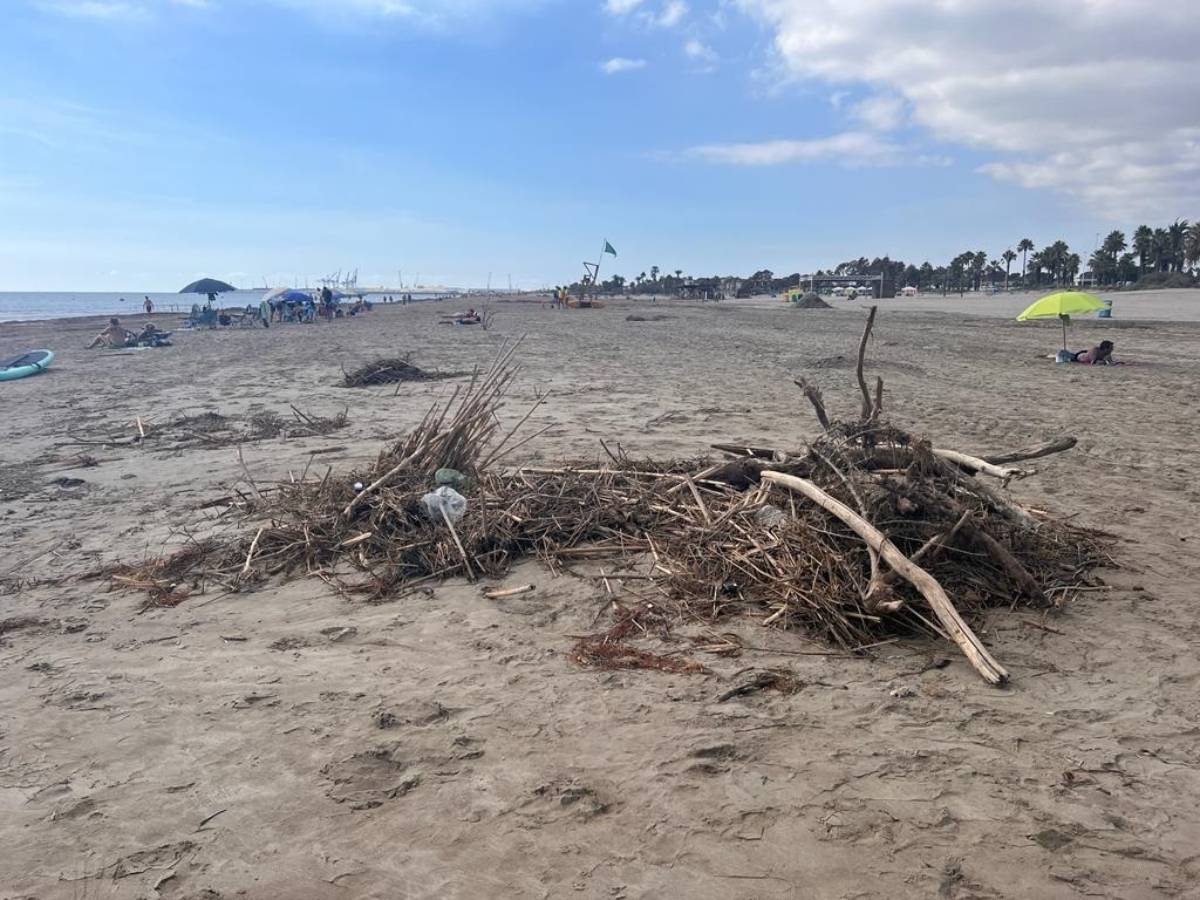 PSPV denuncia basura en las playas de Castellón una semana después de la DANA