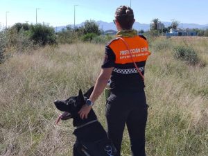 Aparece el cuerpo sin vida del anciano desaparecido en Vila-real