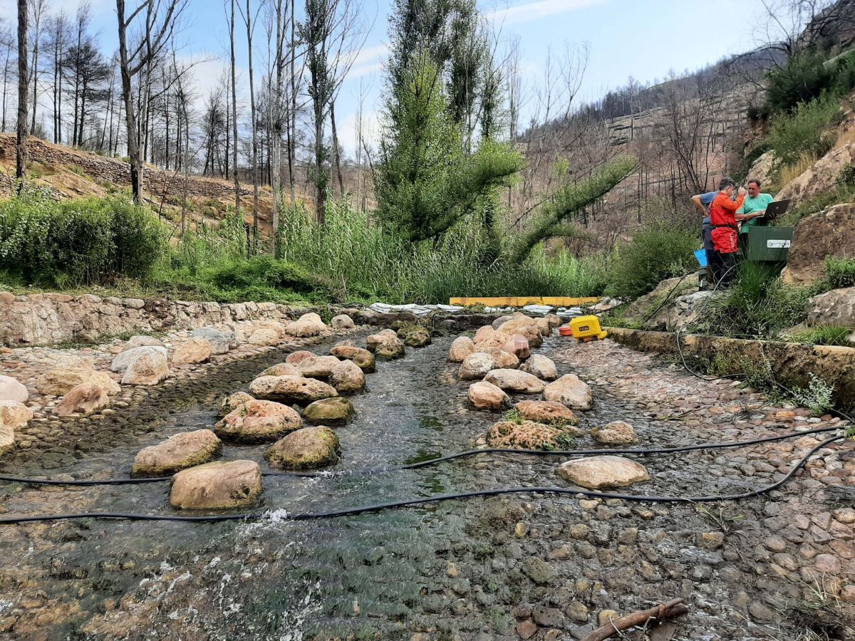 Sensores de la CHJ evalúan el paso de peces en el río Palancia