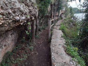 La Ruta Botánica del río Mijares ya está abierta tras la DANA