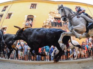 Séptima y última Entrada de Toros y Caballos de Segorbe 2023