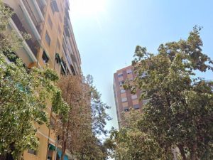 Situación crítica en Plaza Juan XXIII: Som Castelló exige acciones inmediatas