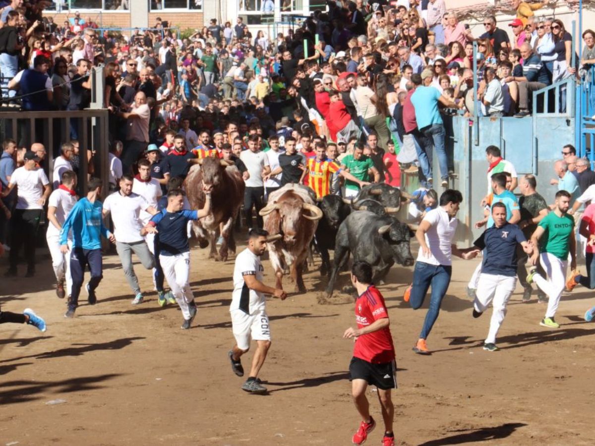 Último emocionante encierro de Fira d´Onda con los toros de José Escolar