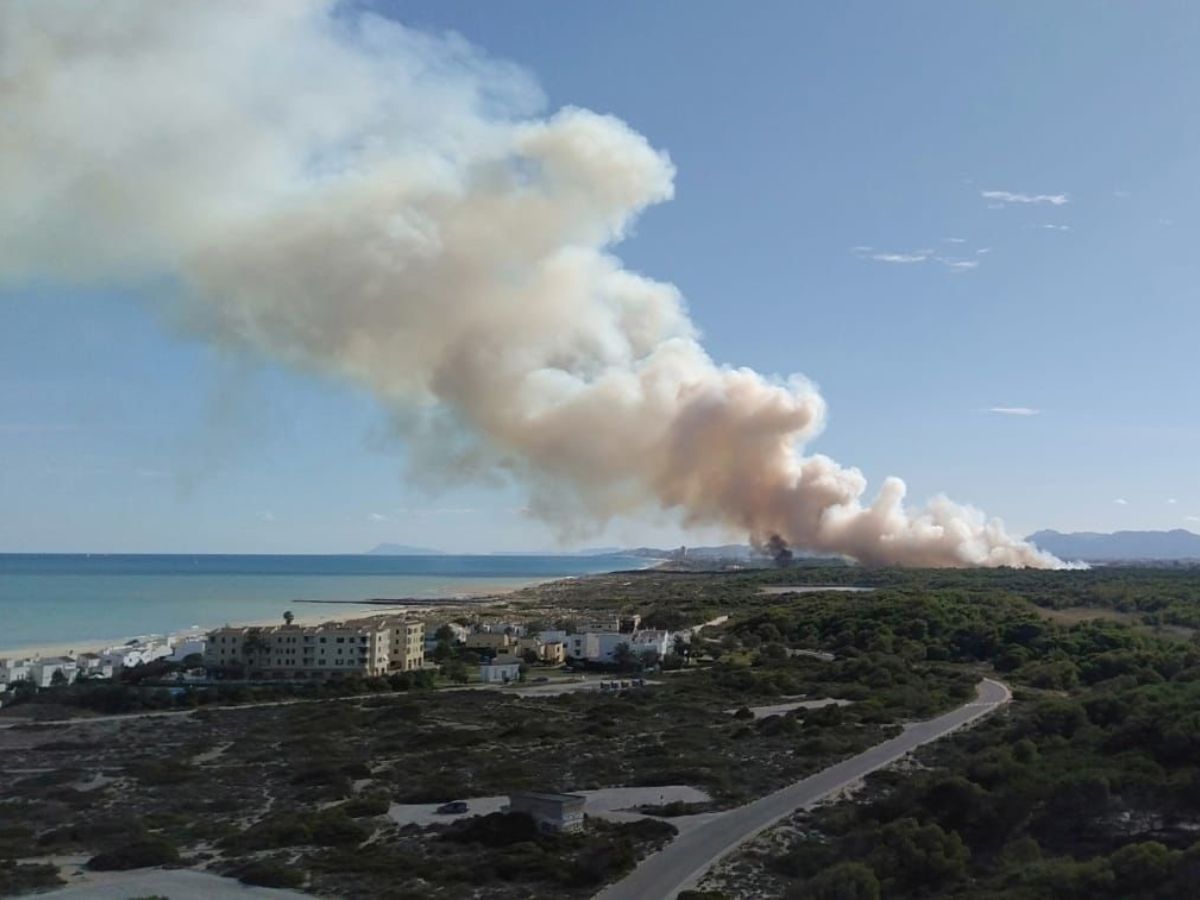 Incendio en El Saler corta la CV-500 y provoca evacuados