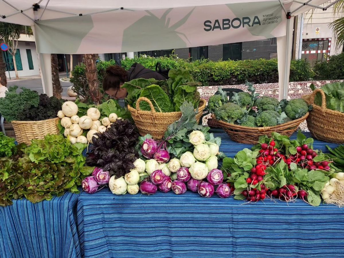 Mercado agroecológico ‘Sabora’ en la plaza Fadrell de Castellón