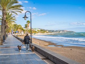 Benicàssim permite el acceso de los perros a las playas desde el 1 de noviembre