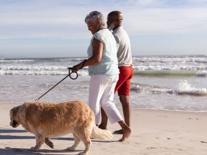 El PSPV insta al Ayuntamiento a abrir la playa canina de Castellón