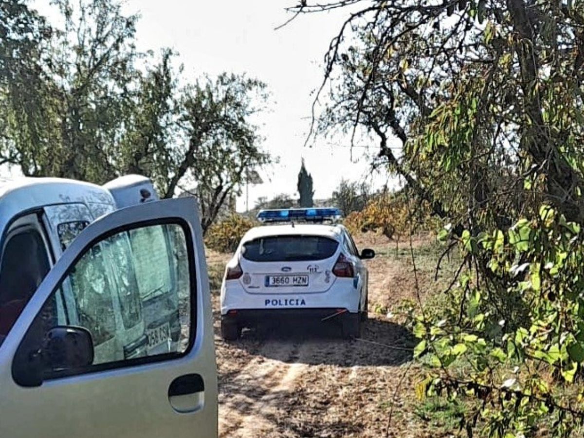 Descubren almacén ilegal de algarroba en la Comarca de L’Alcalatén