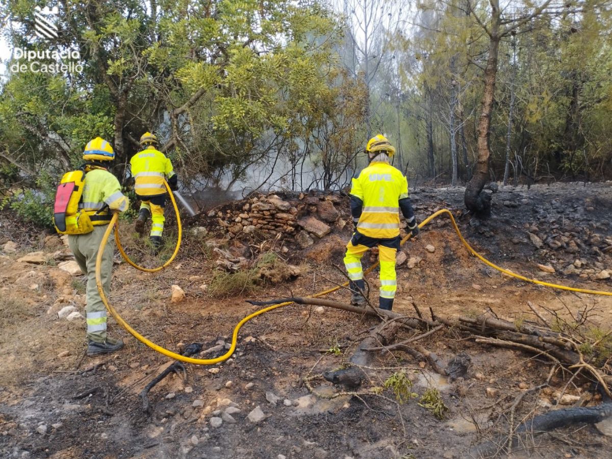 Incendio en la pinada de una urbanización en Onda