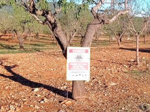 Aparecen perimetradas las zonas afectadas por las macroplantas fotovoltaicas