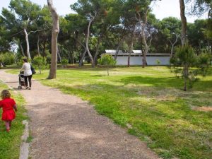 Cierre temporal del Parque del Pinar por fuertes vientos