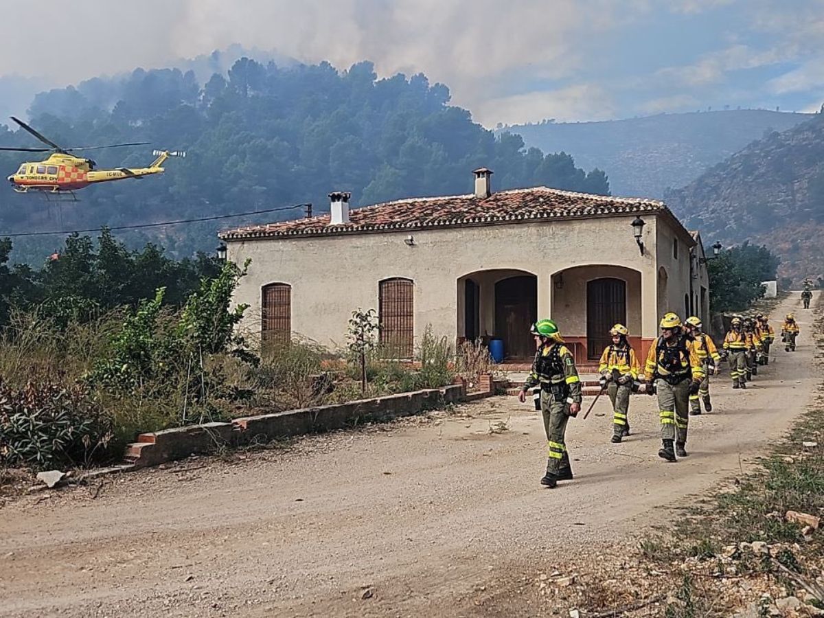 Posible origen del incendio en Montitxelvo: cableado en contacto con árboles