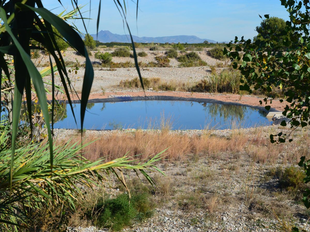 La cuarta laguna del río Mijares atrae a las primeras aves