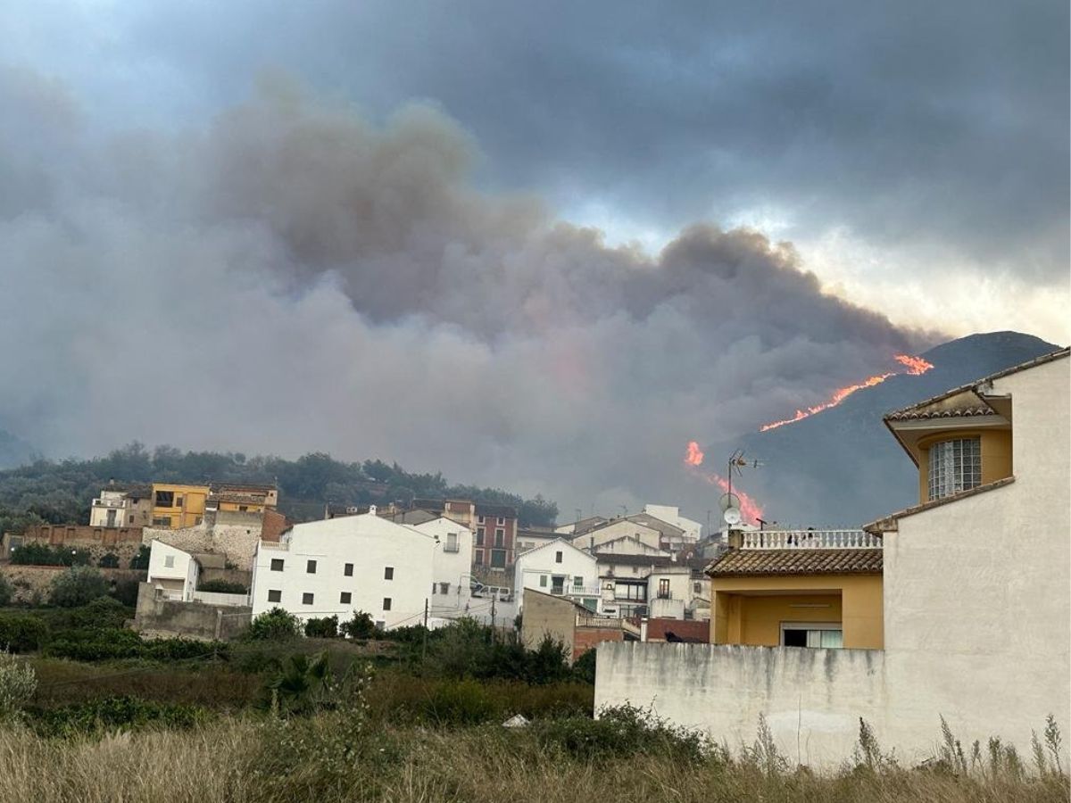 Incendio forestal descontrolado se extiende en Montitxelvo