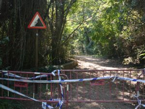 Cerrada la ruta botánica del río Mijares por el temporal de viento