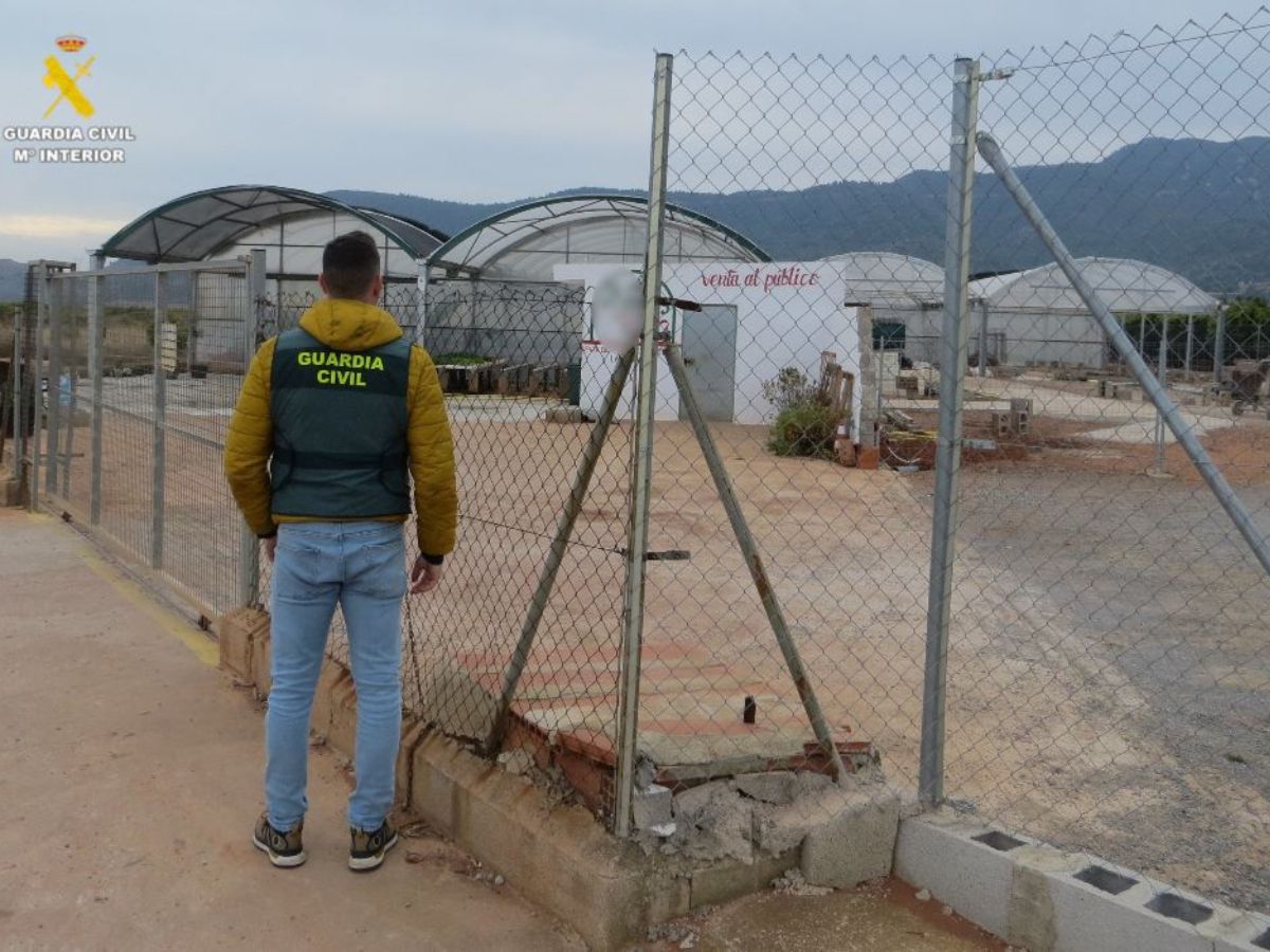 Detenido por robo con fuerza en un vivero hortofrutícola de Nules