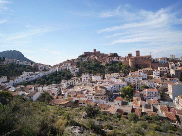 Vilafamés toma medidas ante plagas animales y legionela