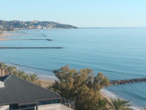 Una manada de delfines visita la playa de Benicàssim