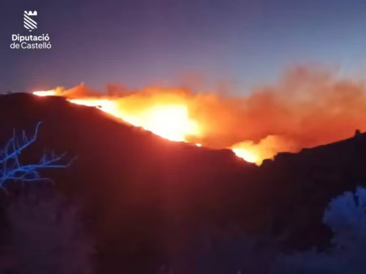 culla bomberos incendio