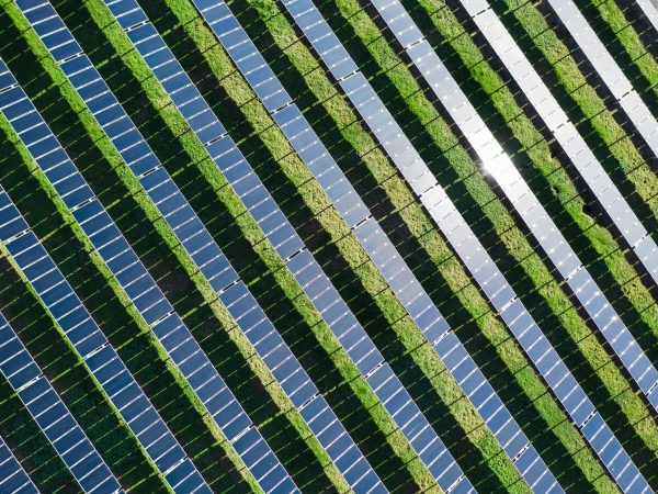 Compromís pide las ayudas contra las macroplantas solares «ya»