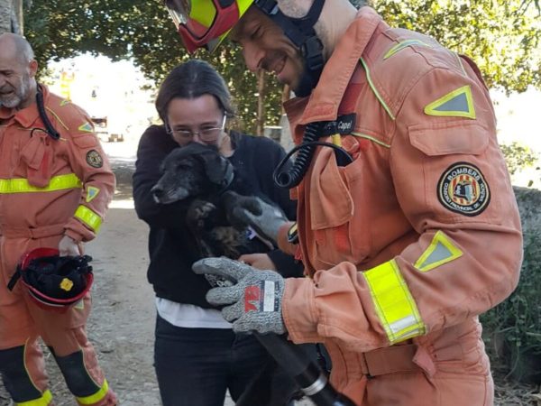 Emocionante rescate de una perrita en Catarroja