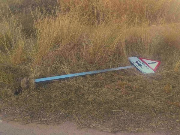 Aparecen en el suelo señales de ‘presencia de nutrias en el Mijares’