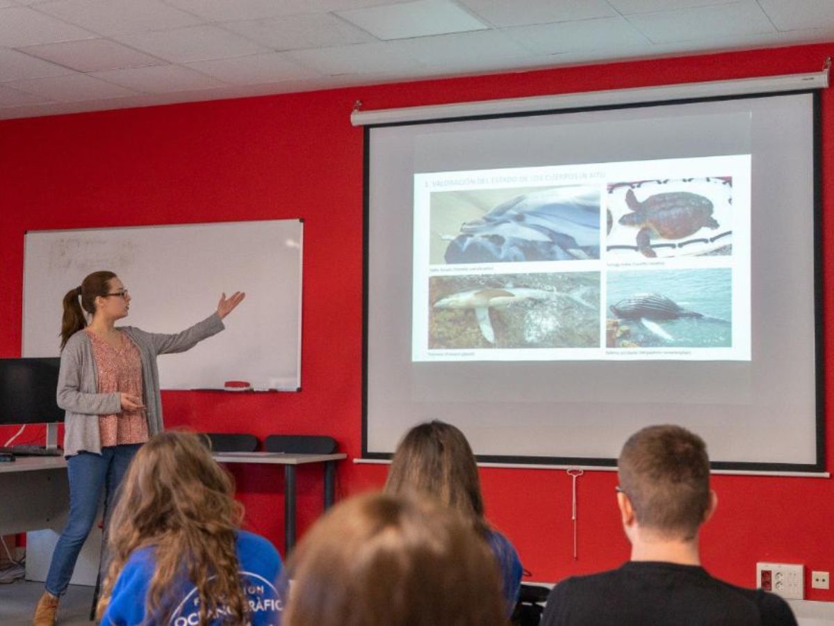 Avistamientos de animales marinos en la Comunitat Valenciana JORNADAS