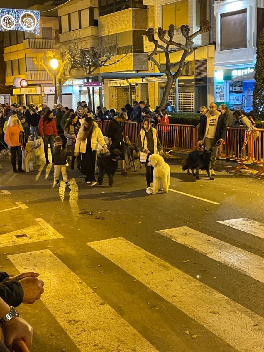 sant antoni y coquetas 2024 benicàssim 23