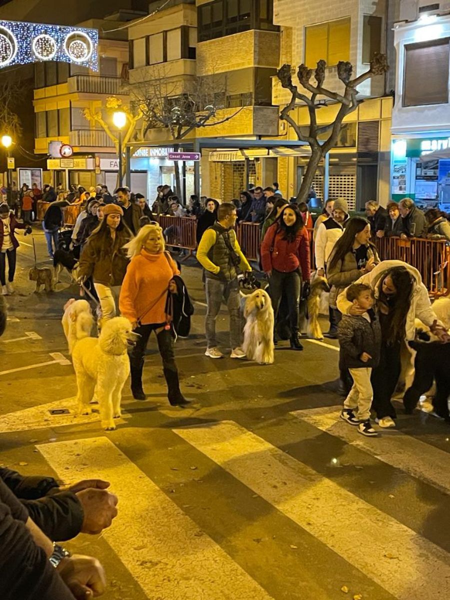 sant antoni y coquetas 2024 benicàssim 6