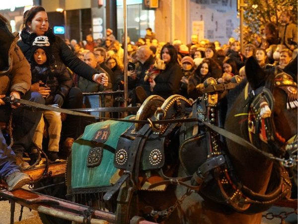 Benlloch propone declarar BIC la Matxà de Sant Antoni de Vila-real