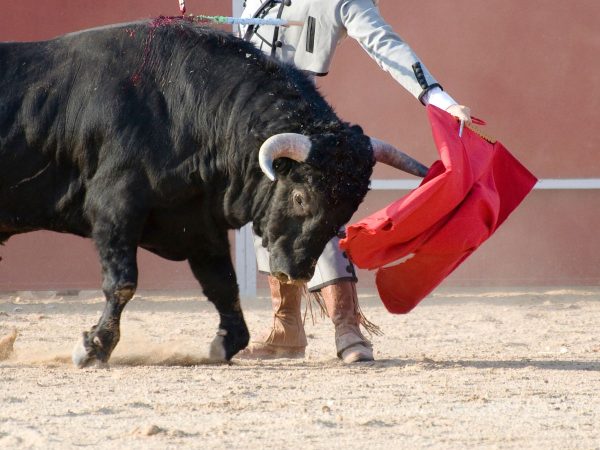 Polémica por el «taller infantil de emboladores» de Oropesa del Mar