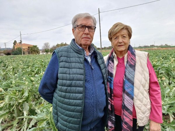 José Antonio Marzá y Maria Caldés, homenajeados en la XXXI Festa de la Carxofa