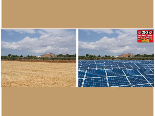 La Comisión Europea investigará las macroplantas fotovoltaicas de les Useres, Cabanes, Vilafamés y les Coves