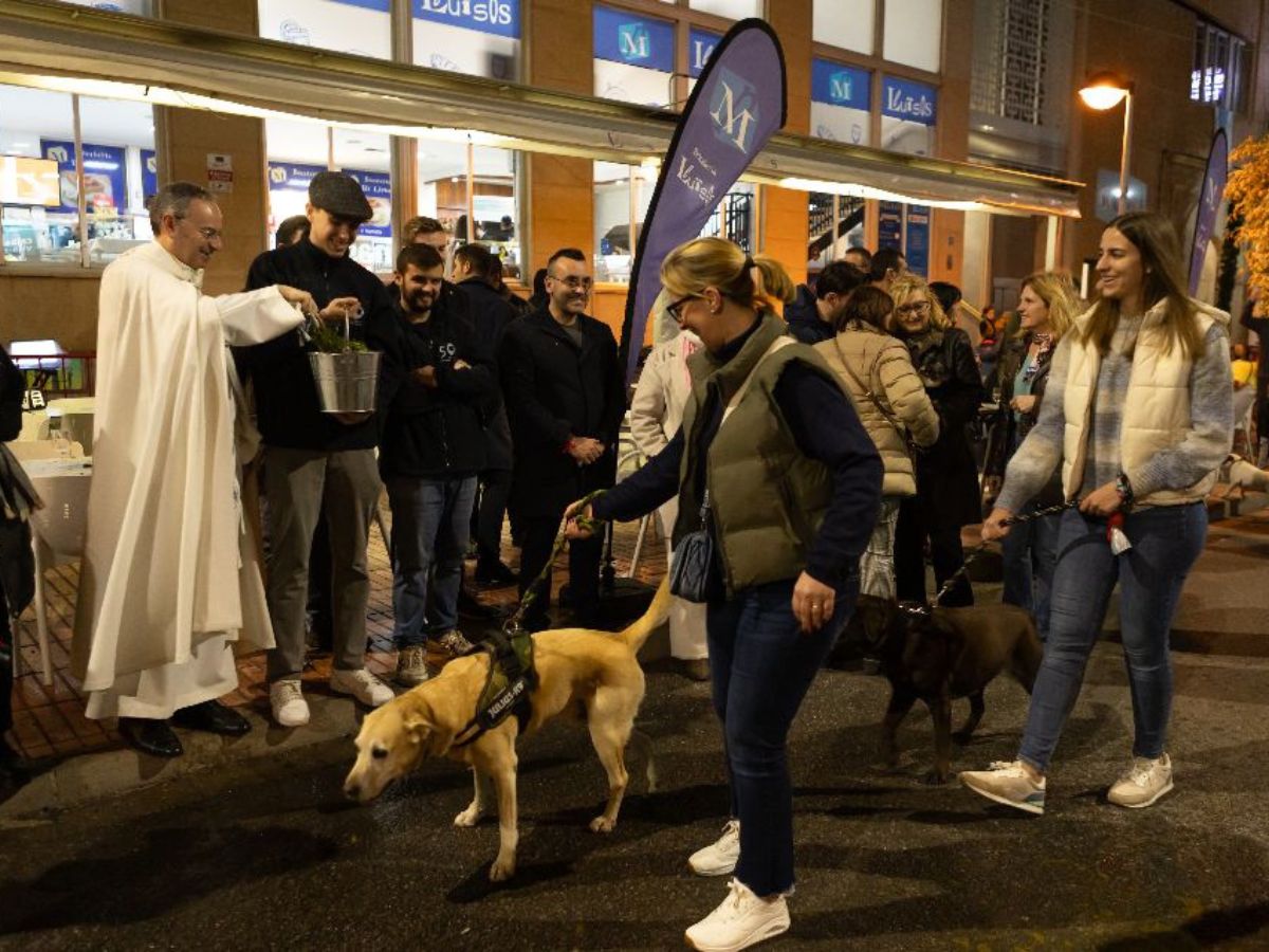 La Matxà de Sant Antoni reúne a cientos de personas en Vila-real