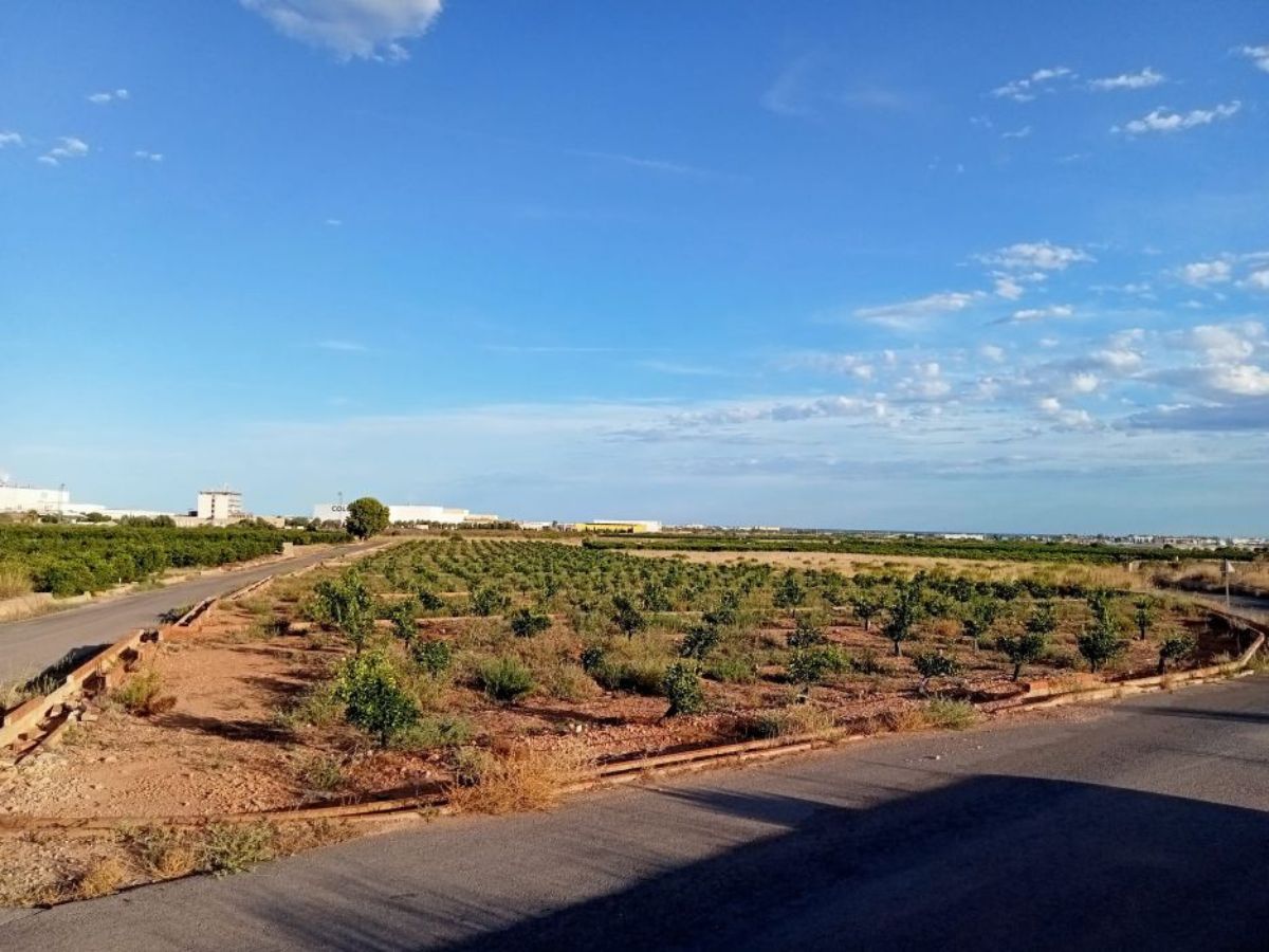 La Unió: «La gran fotovoltaica destrozará 570 parcelas agrícolas en la Plana Baixa»