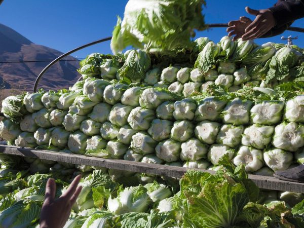 Los agricultores valencianos replican a acusaciones francesas