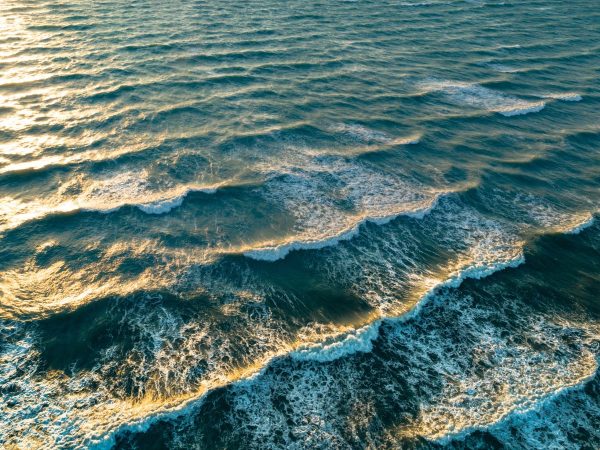 Plan de contaminación marina por un vertido en la costa de Valencia