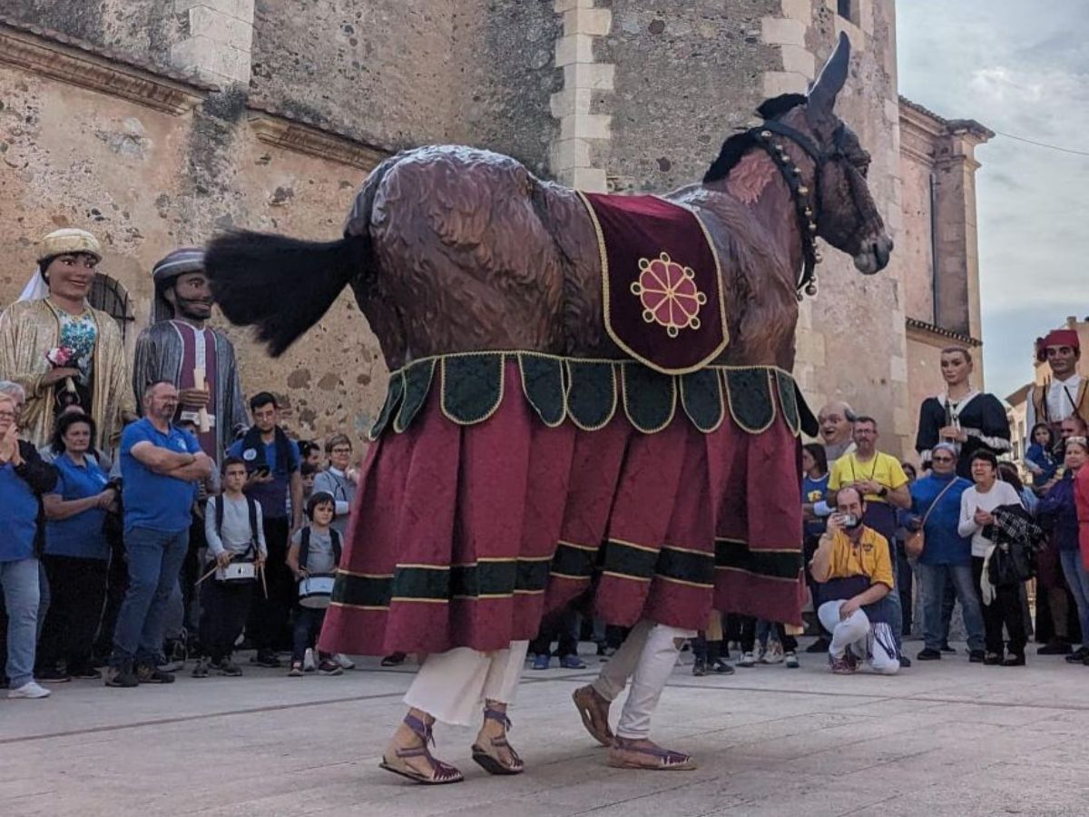 Sant Antoni con ‘Trobada de Bestiari Domèstic’ en el Grao de Castellón