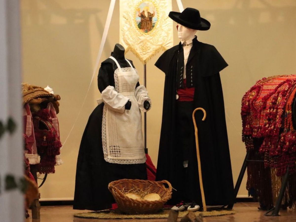 Sant Antoni en L´Alcora Recua Arriera, hogueras, prims y música