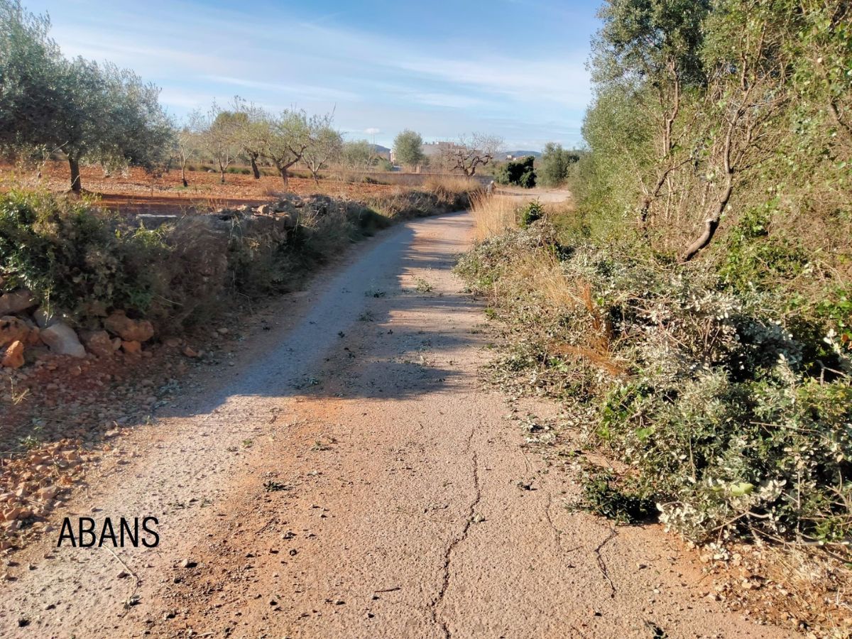 Prevención forestal en Santa Magdalena de Pulpis con EMERGE 3