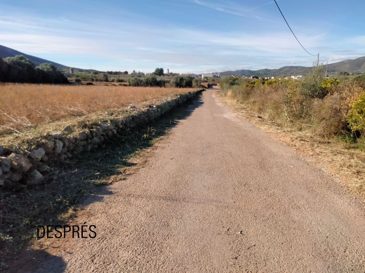 Prevención forestal en Santa Magdalena de Pulpis con EMERGE 2