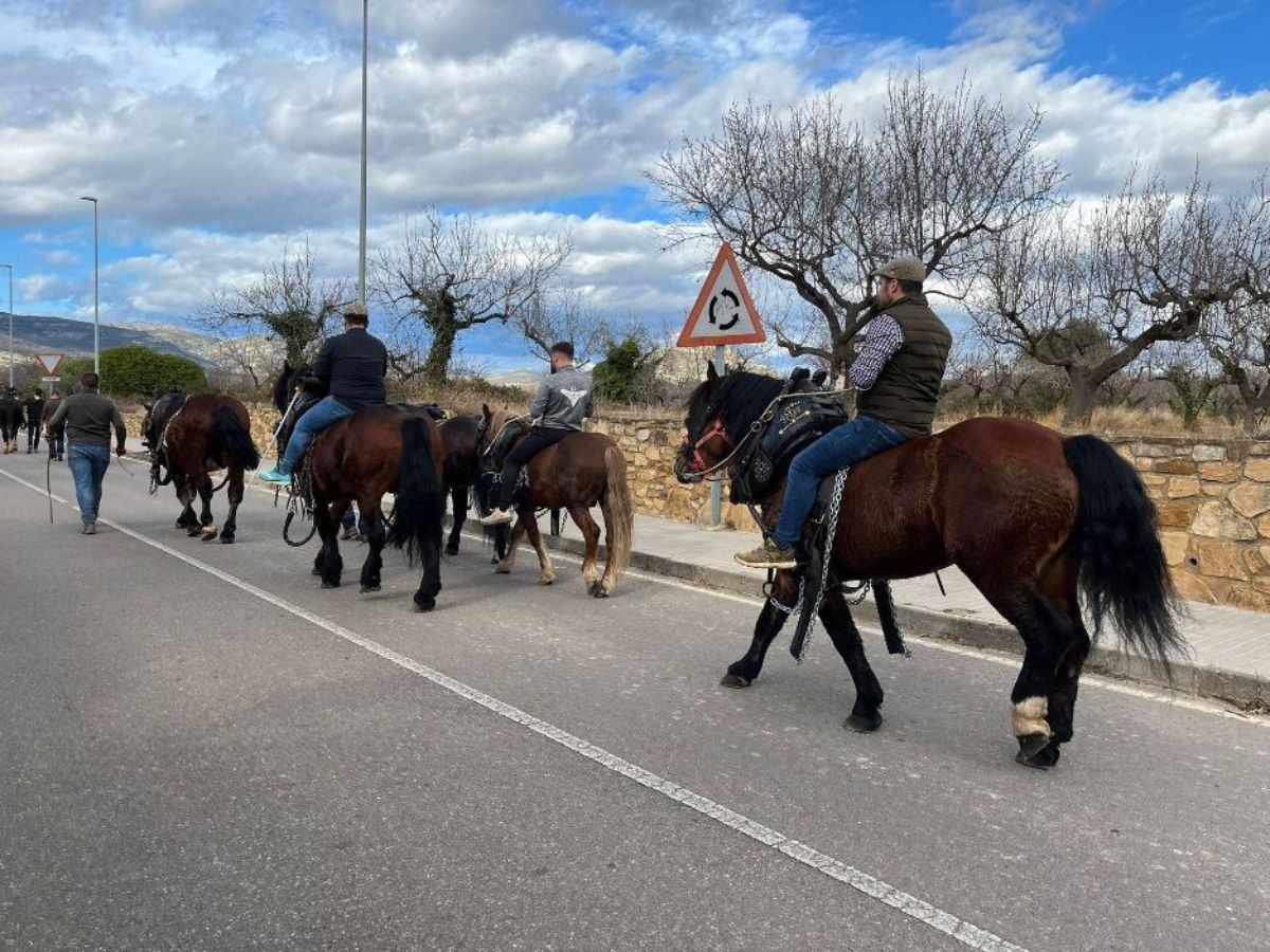 Todo preparado para disfrutar de Sant Antoni en Albocàsser