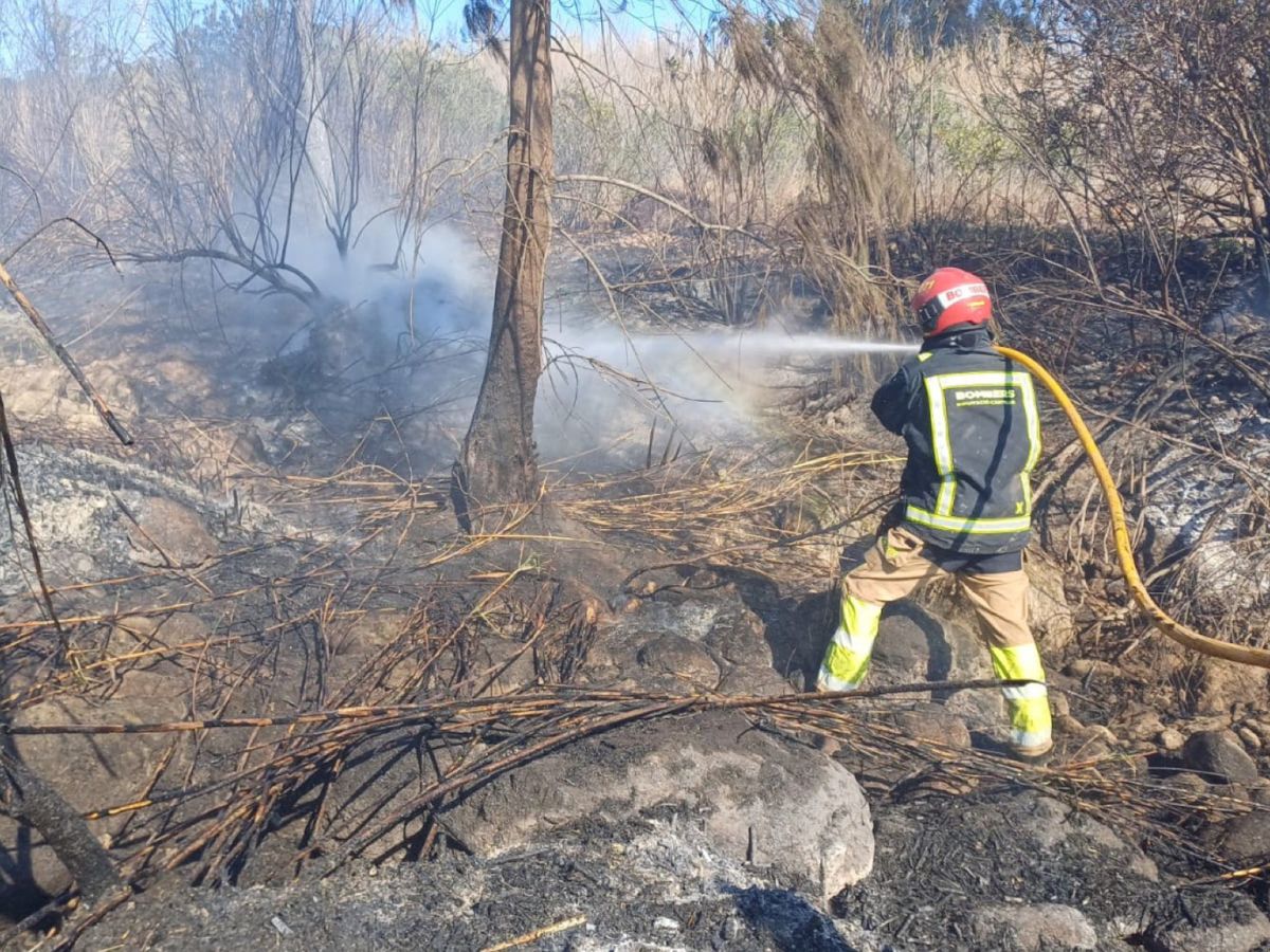 Benlloch pedirá un informe técnico del incendio del Mijares