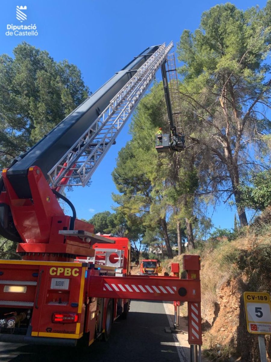 Daños por las fuertes rachas de viento en la provincia de Castellón Bomberos interior